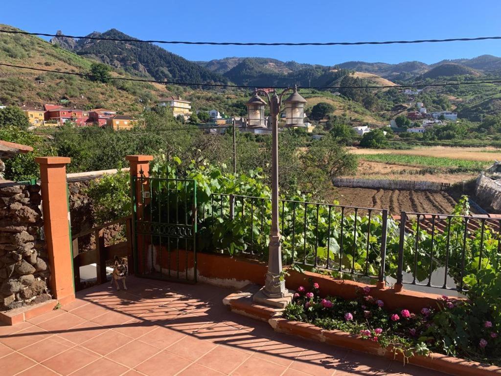 La Casita Del Campo * Vega de San Mateo